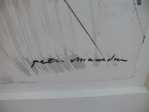 Peter Maasdam - Naakt2 kopen? Bied vanaf 125!