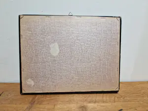 Laurens Jannis Braams - Hoogaars Arnemuiden kopen? Bied vanaf 60!