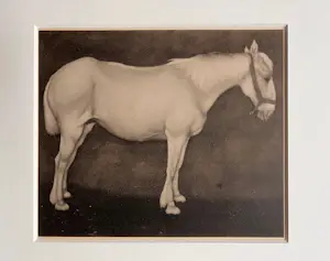 Jan Mankes - Originele Heliogravure Wit Paard 1923 kopen? Bied vanaf 165!