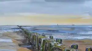 Franklin Meijer - Friese Waddenkust vendu pour 51€ !