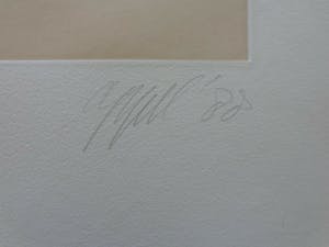 Karel Appel - LOS PAJAROS / AQUATINT-KLEURETS / EAU-FORTE COLORE / 76x56cm / SIG kopen? Bied vanaf 535!