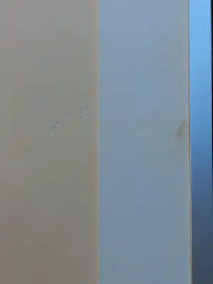 Andre Tigchelaar - eendjes kopen? Bied vanaf 74!