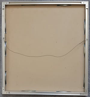 Thomas Ankum - Halve bollen kopen? Bied vanaf 50!