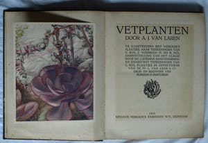 Curiosa - 7 Plaatjesalbums , Verkade (5x), Douwe Egberts (1x), Haust (1x) – (1925-1950) kopen? Bied vanaf 1!