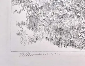 Willem Minderman - Canne, litho kopen? Bied vanaf 35!