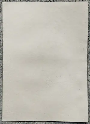 Karl Hofer - Javanische Tänzerin. Original-Lithografie,1921 kopen? Bied vanaf 2500!