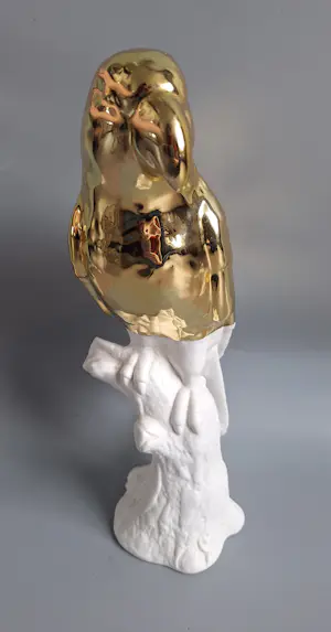 Pols Potten - Papegaai kopen? Bied vanaf 20!