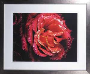 Bert Houweling - Foto, Roos 17 - Ingelijst kopen? Bied vanaf 1!