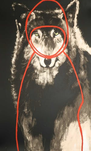 Dorien Plaat - Zeefdruk, Little Red Riding Hood (Groot) kopen? Bied vanaf 1!