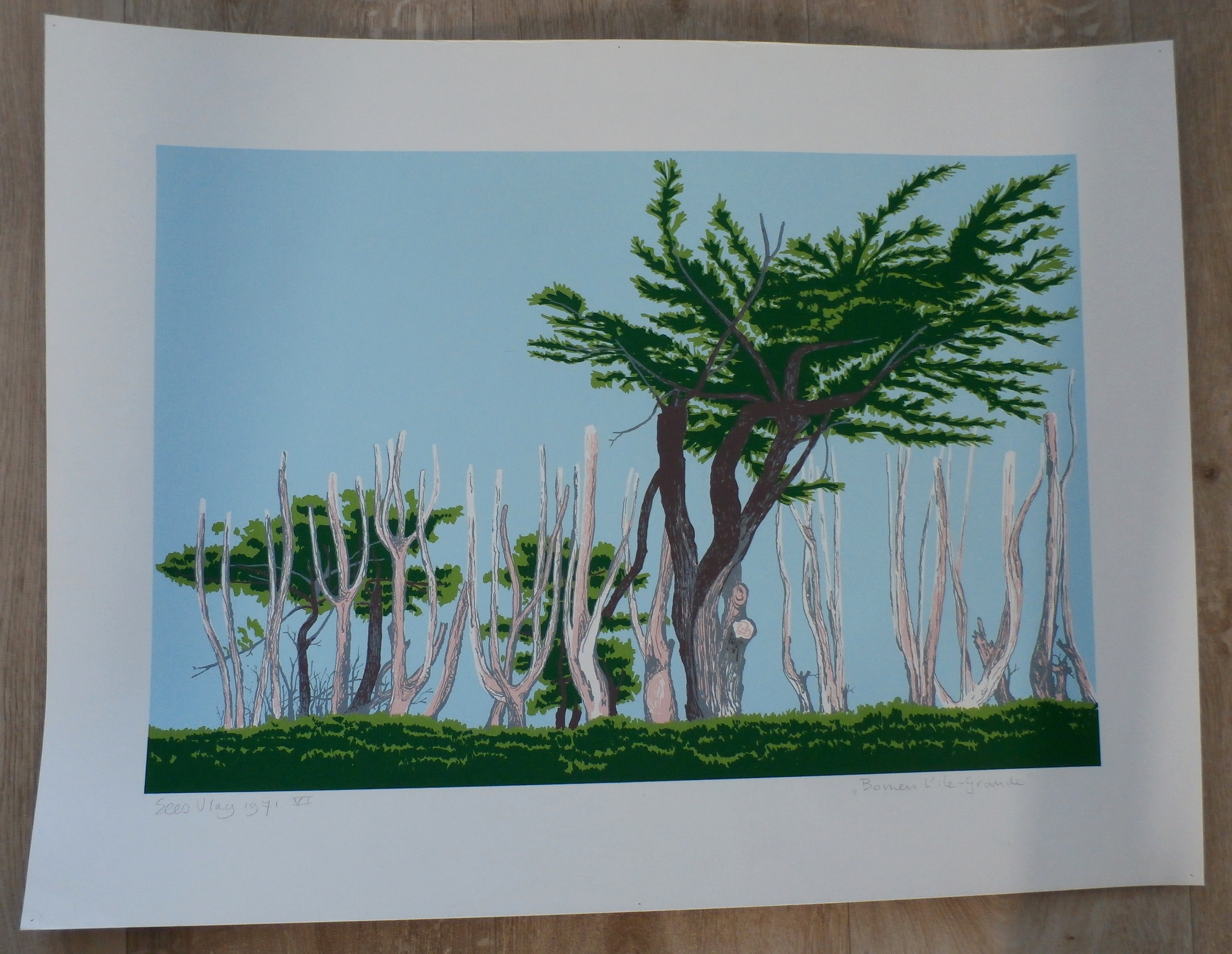Sees Vlag - Zeefdruk: Bomen l'ile - Grande - 1971 kopen? Bied vanaf 60!