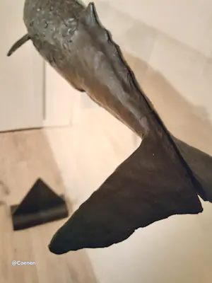 Harro Nikkels - Potvis kopen? Bied vanaf 7000!