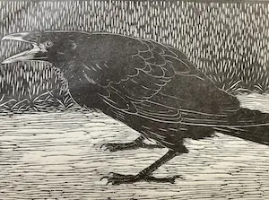 Jan Mankes - Originele Houtsnede - Schreeuwende Kraai 1918 kopen? Bied vanaf 375!