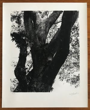 Norbert Buchsbaum - Gelatine zilverdruk - 1979 - 'Bali' - Gesigneerd kopen? Bied vanaf 45!