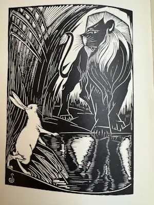 Jan Schonk - Dierenrijk kopen? Bied vanaf 120!