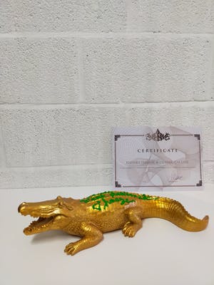 Hannes D'Haese - Ceci n'est pas Lacoste kopen? Bied vanaf 100!