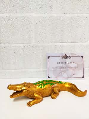 Hannes D'Haese - Ceci n'est pas Lacoste verkocht voor € 100!