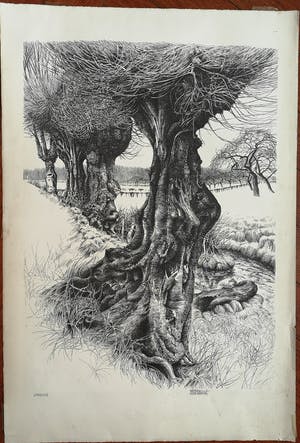 Patrick Creyghton - Landschap met bomen kopen? Bied vanaf 65!