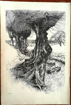 Patrick Creyghton - Landschap met bomen verkocht voor € 65!