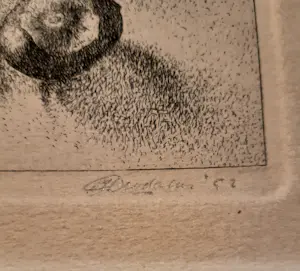 Jan Deodatus - Kastanjes kopen? Bied vanaf 30!