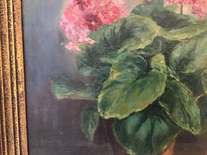 Felicien Bobeldijk - Bloemen in Vaas kopen? Bied vanaf 50!