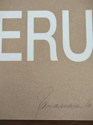 Panamarenko - Hazerug kopen? Bied vanaf 395!