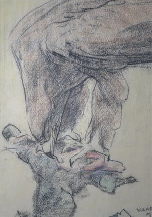 Willem Vaarzon Morel (sr.) - krijttekening van een arend - zeer fraai ingelijst kopen? Bied vanaf 275!