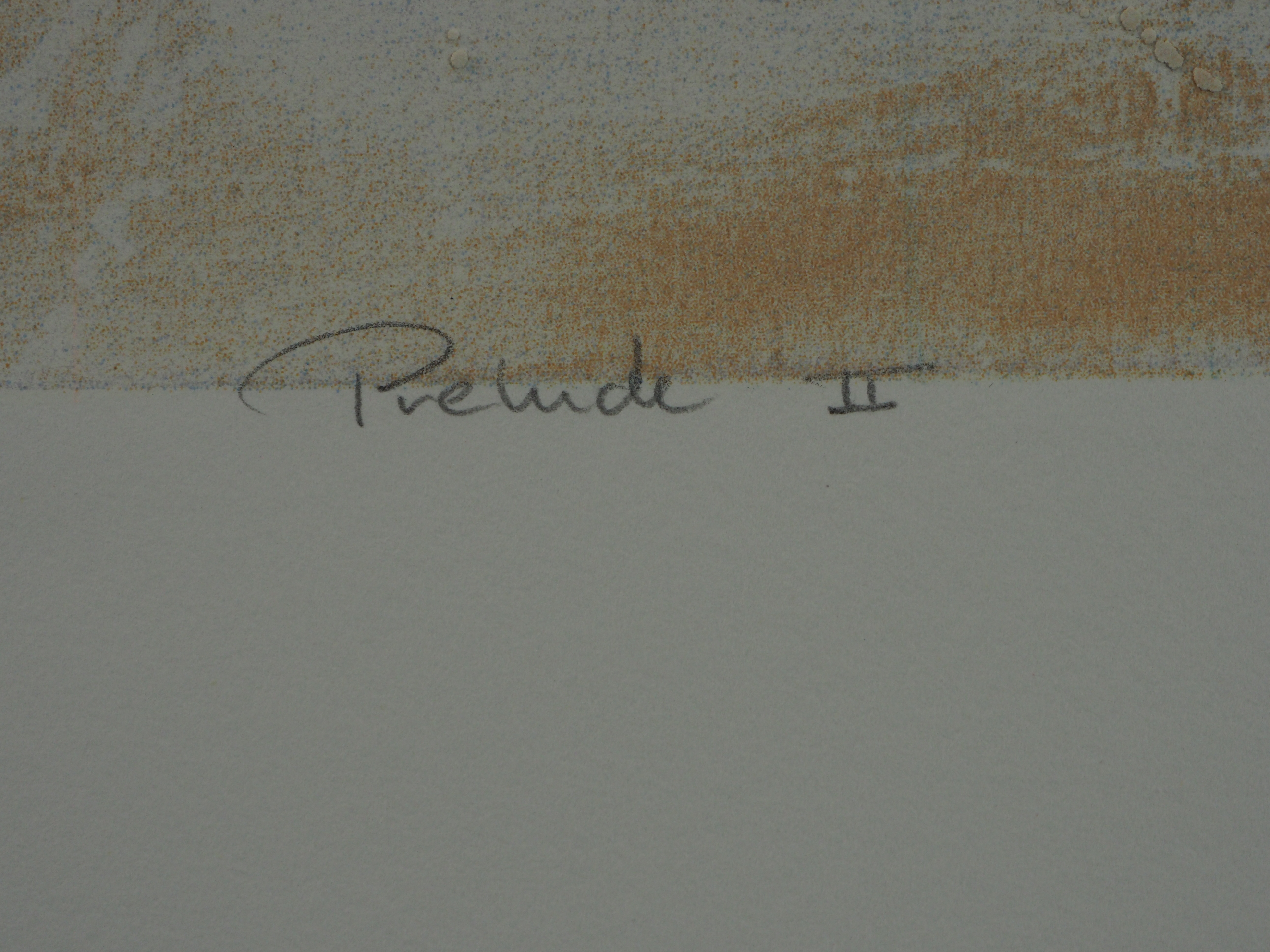 Ron van der Werf - Prelude II kopen? Bied vanaf 25!