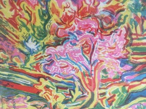 Suzanne Tourte - Amandelboom kopen? Bied vanaf 10!