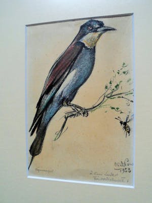 Buy Willem De Pauw - Gemengde Techniek - Vogels? Bid from 35!