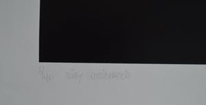 Willy Schmidhamer - Portfolio met 4 zeefdrukken compleet! kopen? Bied vanaf 150!