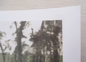 Banksy - Greenpeace, Save Or Delete kopen? Bied vanaf 1!