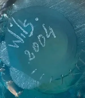 Niet of onleesbaar gesigneerd - Studio glazen presse papier ei-vorm gesigneerd Wils - 2004 kopen? Bied vanaf 1!