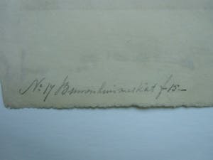 Suze de Lint - BINNENHUIS MET KAT kopen? Bied vanaf 30!