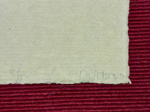 Reiner Schwarz - **ohne Titel** kopen? Bied vanaf 20!