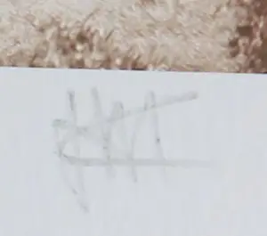 Kim Heesakkers - Foto, Sharing the continent - Ingelijst (Groot) kopen? Bied vanaf 50!