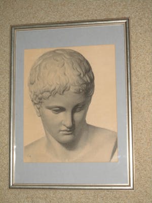 Cornelia Hioolen - Potloodtekening - Apollo kopen? Bied vanaf 50!