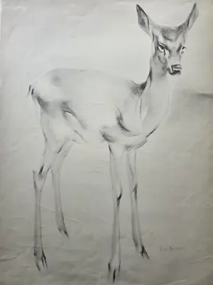 Han van Meegeren - Hert. Grote litho. kopen? Bied vanaf 59!