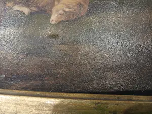 Frans van Severdonck - schapen in een weide kopen? Bied vanaf 1000!