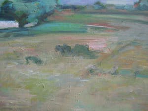 Theo van der Steen - Maasuiterwaard kopen? Bied vanaf 100!