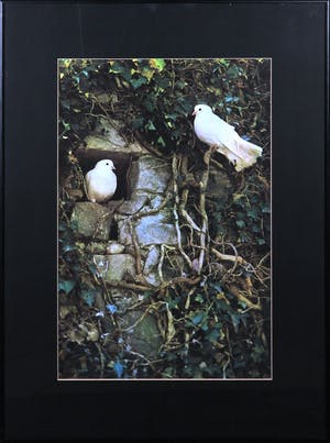 Paul Huf - Digitale print, Zonder titel - Ingelijst kopen? Bied vanaf 1!