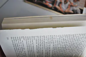 Anton Heyboer - 4 boeken -> n.b. geen veilingkosten en gratis verzonden NL kopen? Bied vanaf 50!