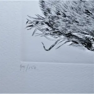 Han van Hagen - 2 etsen: jong eendje & landschap kopen? Bied vanaf 30!