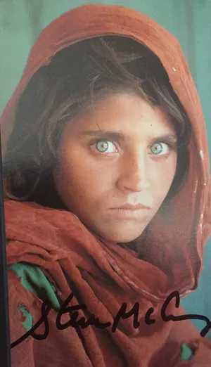 Steve McCurry - Afghan Girl (Sharbat Gula),- Refugee Camp, Pakistan, 1984, kopen? Bied vanaf 200!