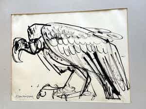 Alfons Van Meirvenne - Gier (ink op papier) verkocht voor € 15!