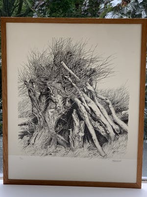 Patrick Creyghton - boomstronken kopen? Bied vanaf 49!