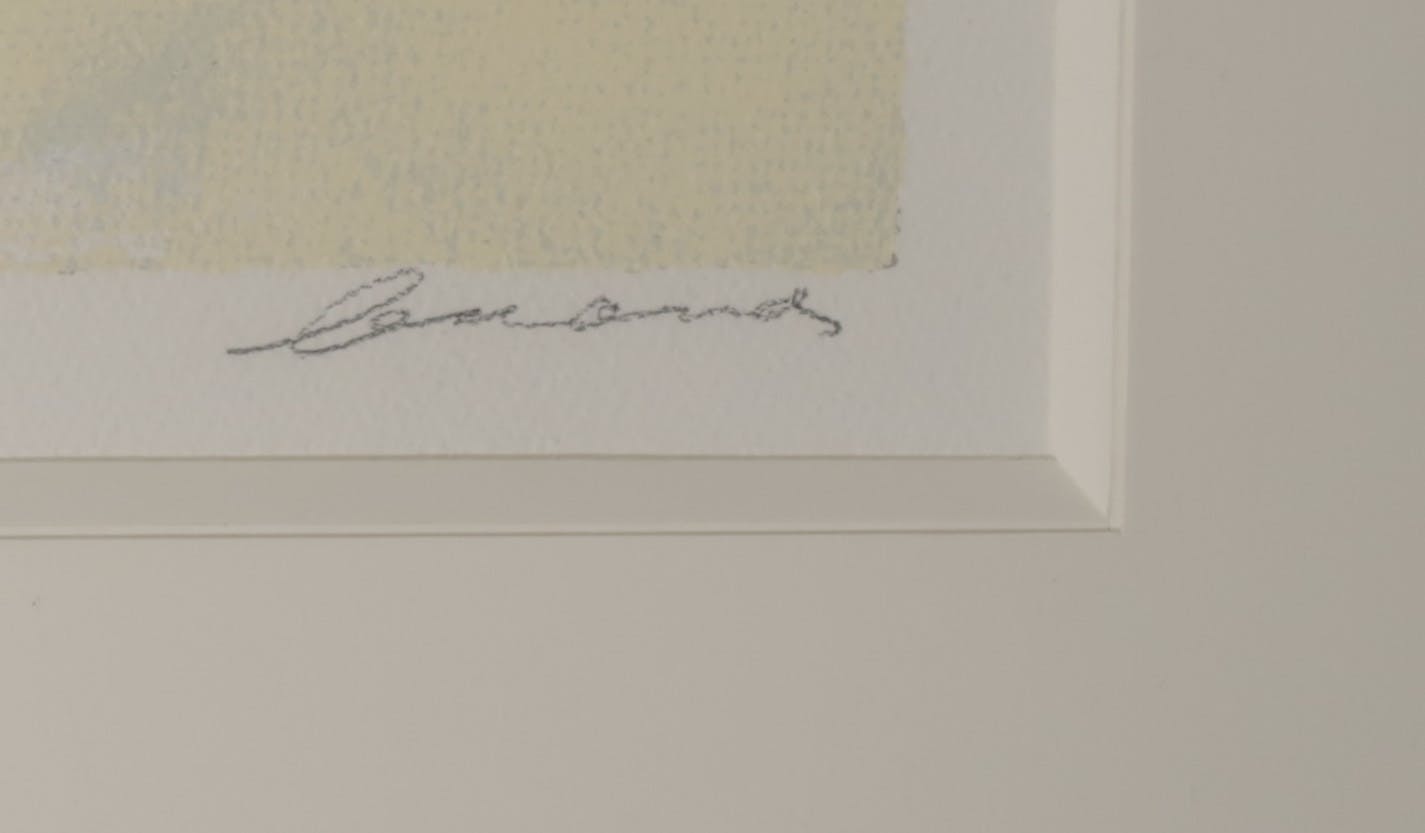 Eugene Brands - Zeefdruk, Kleurrijke vogel - Ingelijst kopen? Bied vanaf 250!