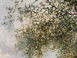 eugene fehdmer - Boswandeling kopen? Bied vanaf 145!