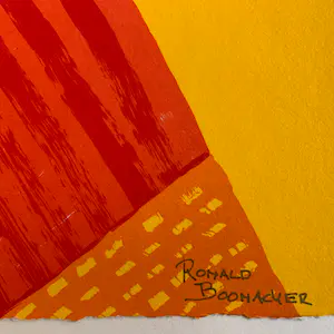 Ronald Boonacker - Tulpenvelden, Holland kopen? Bied vanaf 83!