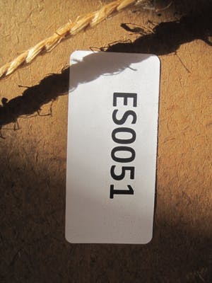 Jan Hillebrand Wijsmuller - Haagse School! 19e Eeuwse Ets "Wetering bij de Baarsjes bij Amsterdam" kopen? Bied vanaf 1!