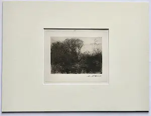 Matthijs Maris - Zes gravures van de gebroeders Maris kopen? Bied vanaf 1!